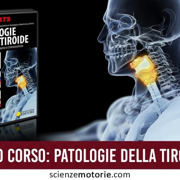 Copertina del video corso "Patologie della Tiroide" con un'immagine stilizzata del corpo umano e la tiroide evidenziata. La fascia rossa sottostante presenta il testo “Nuovo video corso: Patologie della Tiroide” insieme al logo di Scienze Motorie.