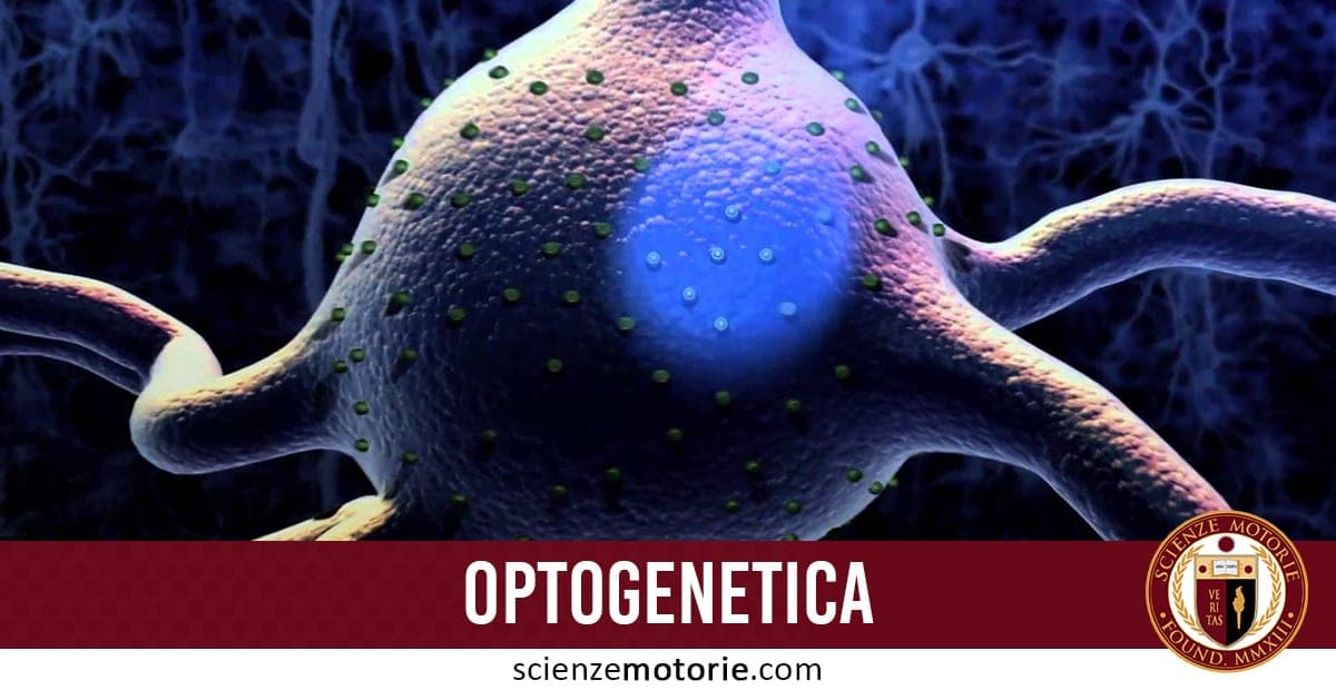 Optogenetica: la rivoluzione per lo studio del cervello