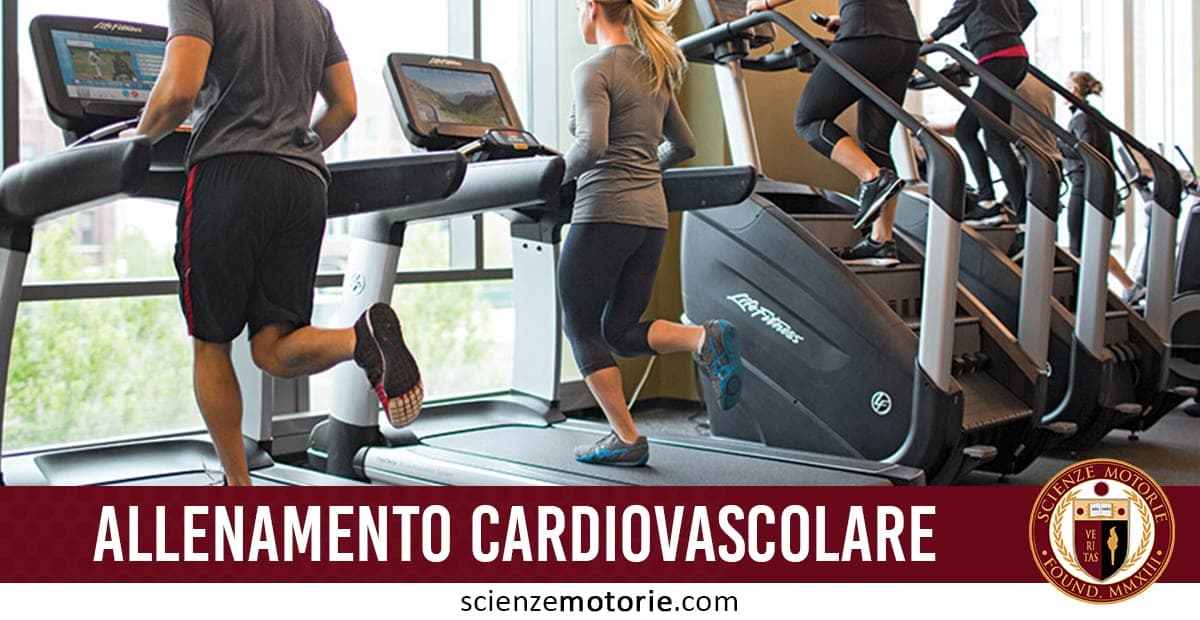 Allenamento Cardiovascolare: quali sono i benefici?