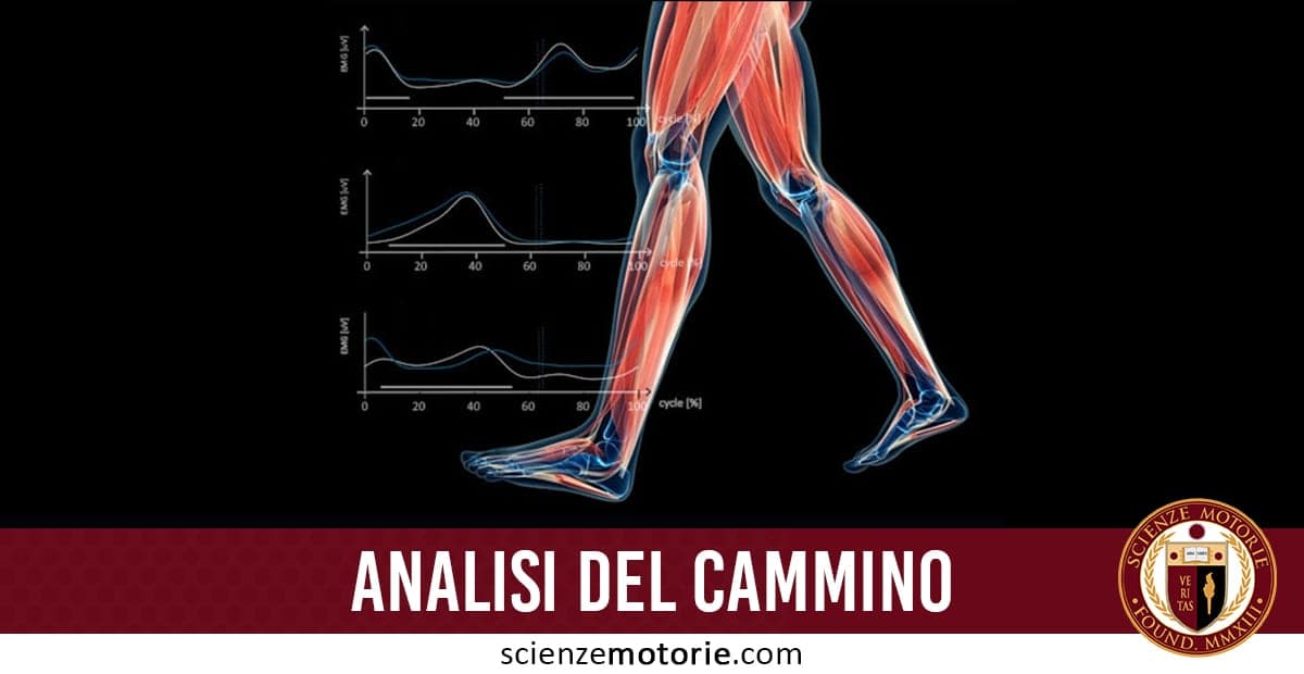 Analisi del Cammino – 2° Parte