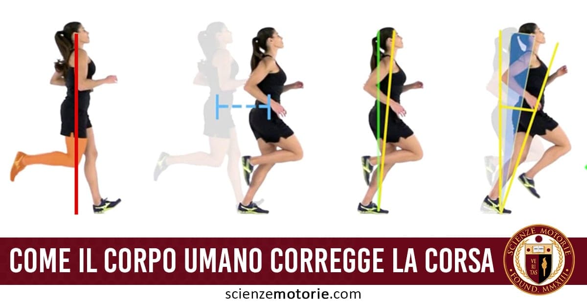 Studio: come il corpo umano corregge la corsa