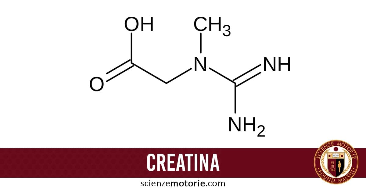 Creatina:Integratori e Tipi di Creatina