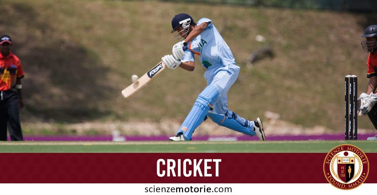 Cricket