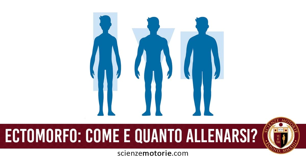 Ectomorfo: dieta e allenamento per il tuo somatotipo
