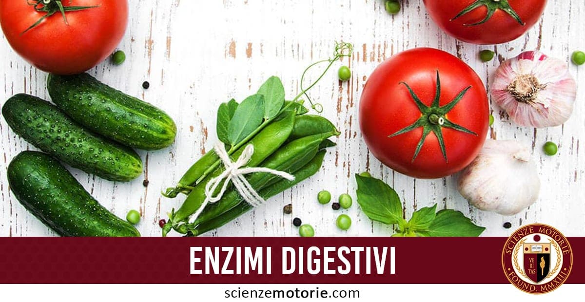 Perchè gli enzimi digestivi sono così importanti?