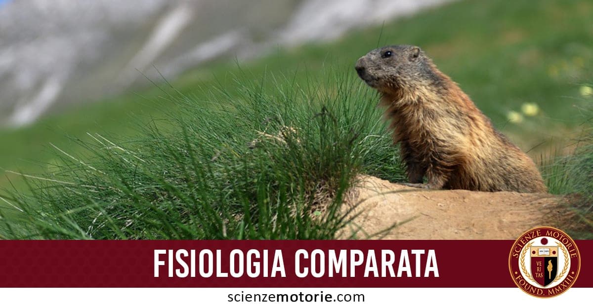 Fisiologia Comparata: imparare dagli animali