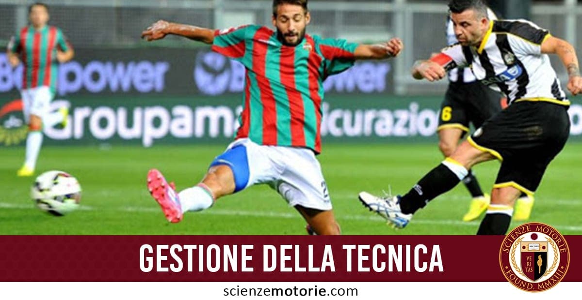 La Gestione della Tecnica