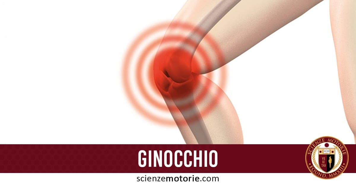 Ginocchio: Anatomia, Trattamenti e Prevenzione