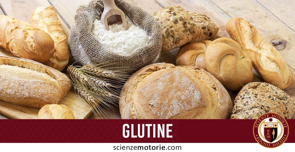 Glutine: cos’è,come agisce e come incide sulla celiachia
