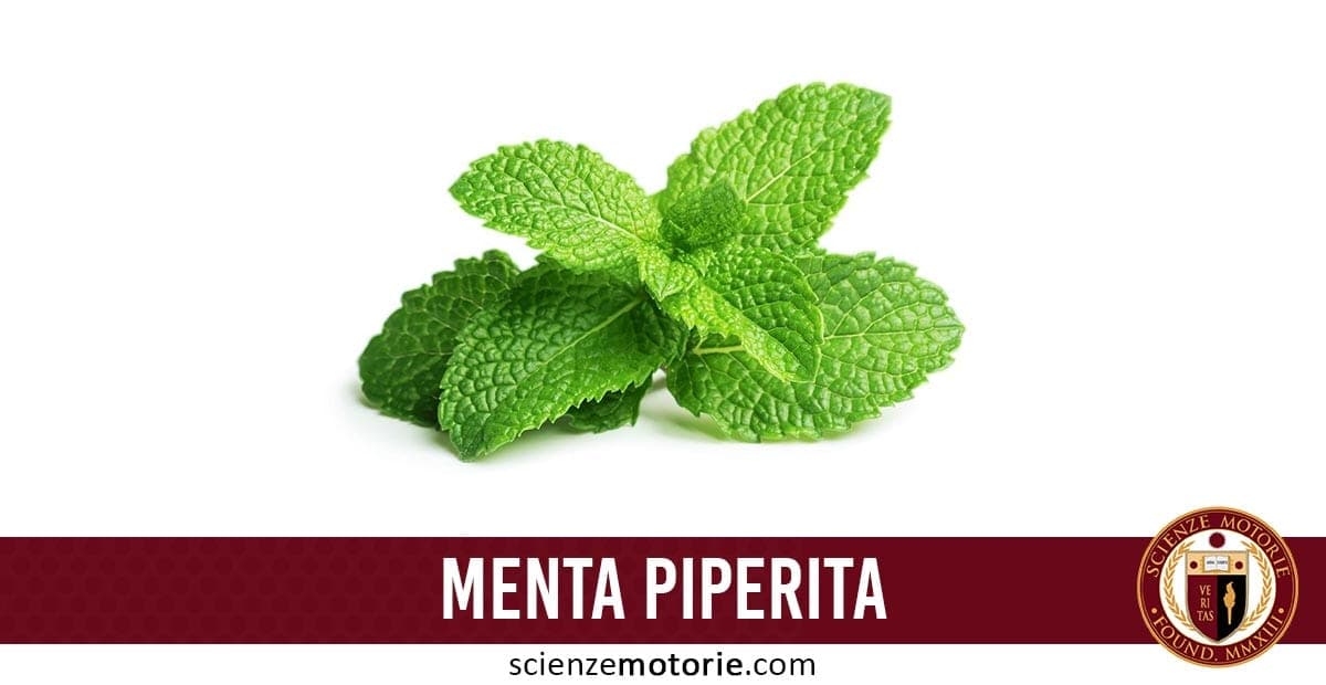 Menta Piperita, benefici per la salute