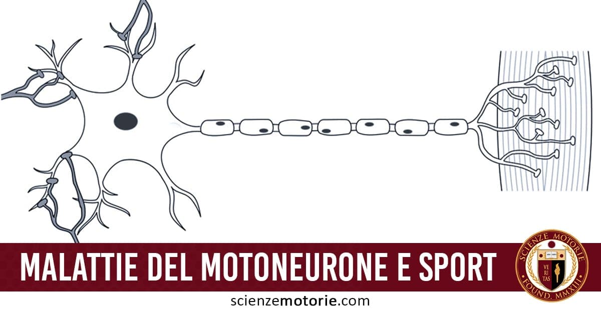 Le Malattie del Motoneurone e lo Sport