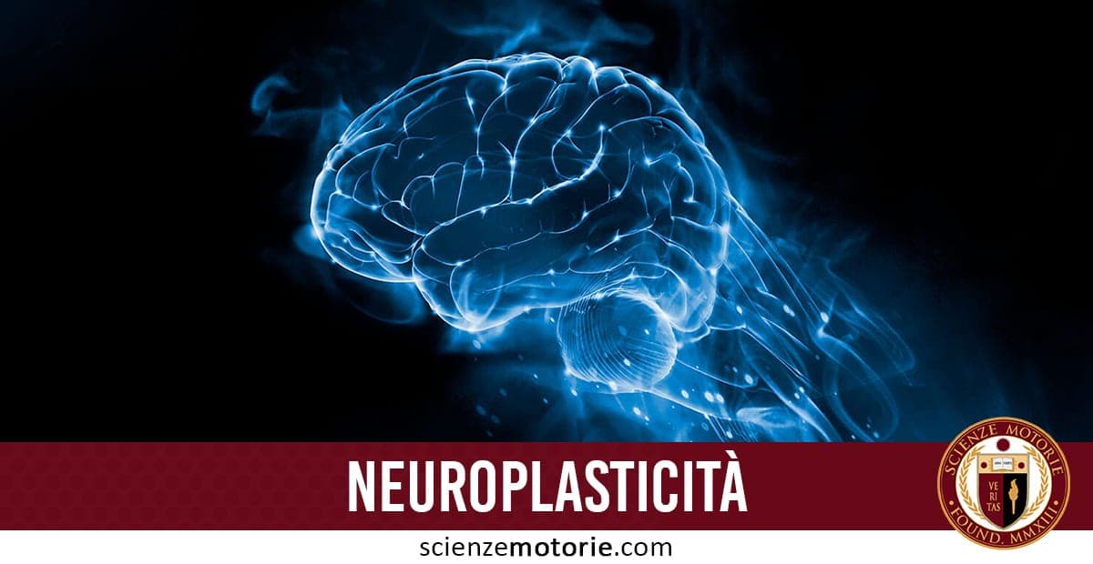 Neuroplasticità –  2° PARTE