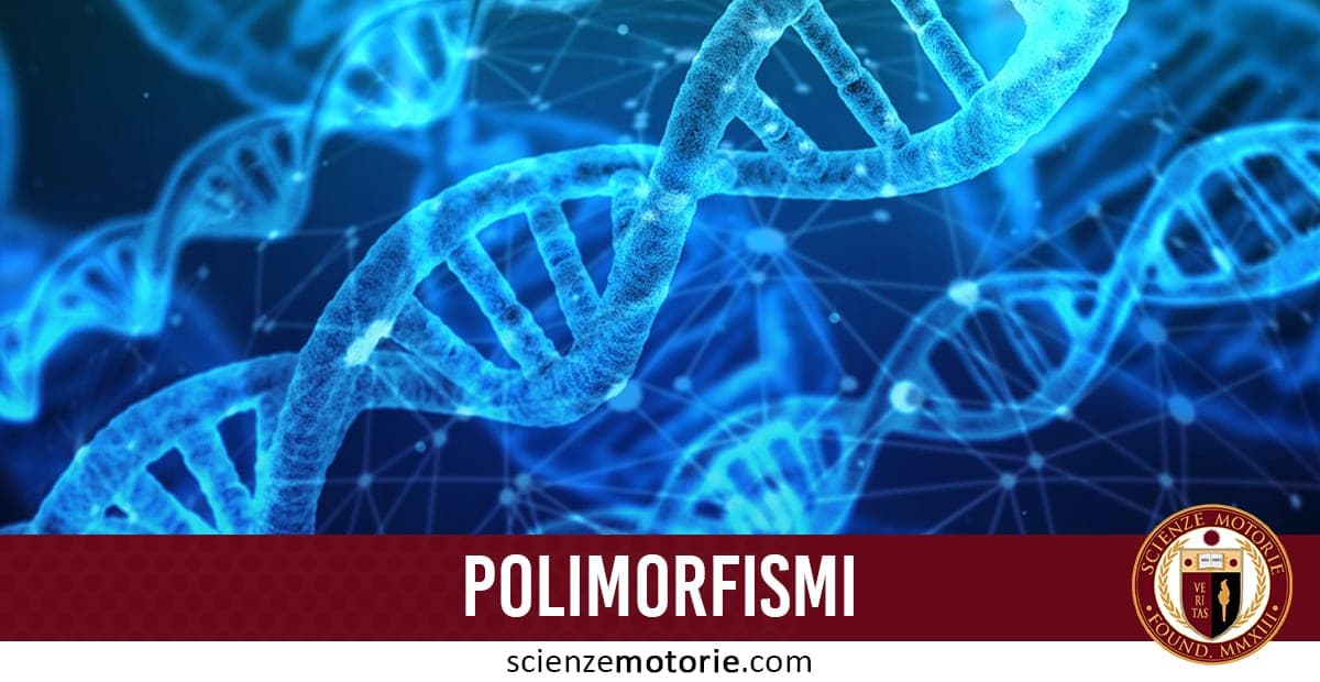 Polimorfismi: cosa sono e come influiscono nello sport