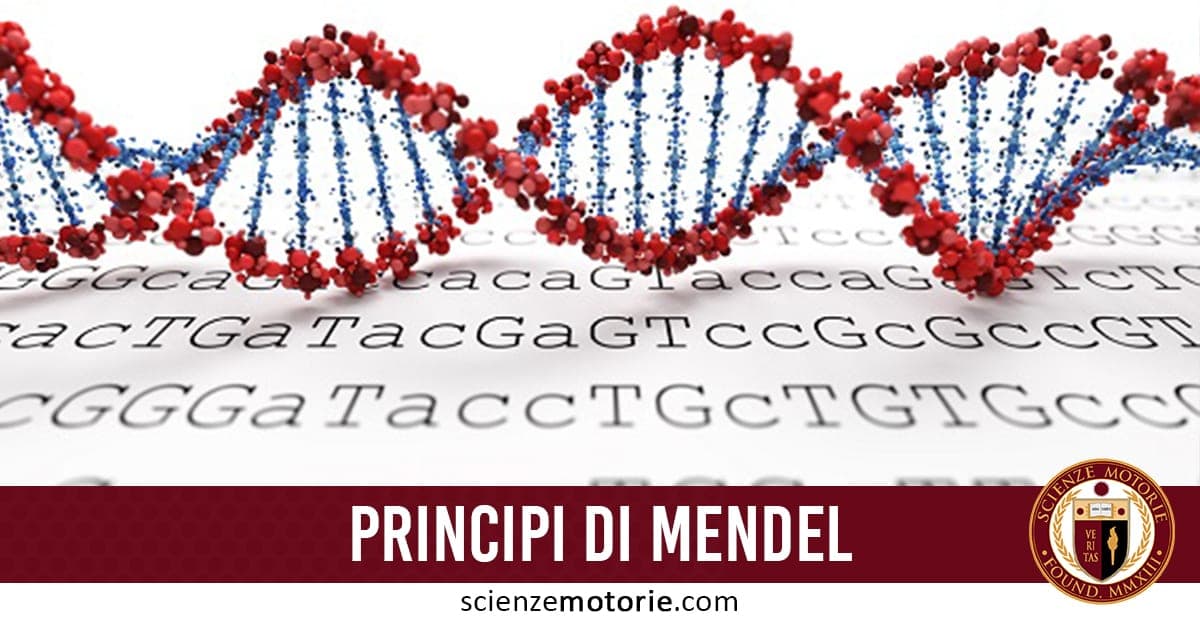I Principi di Mendel: l’origine della genetica