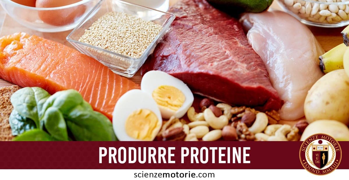 Quante Proteine puoi Utilizzare per Produrre Proteine?