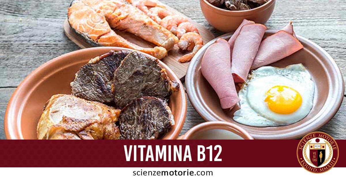 Vitamina B12: cos’è e perchè importante