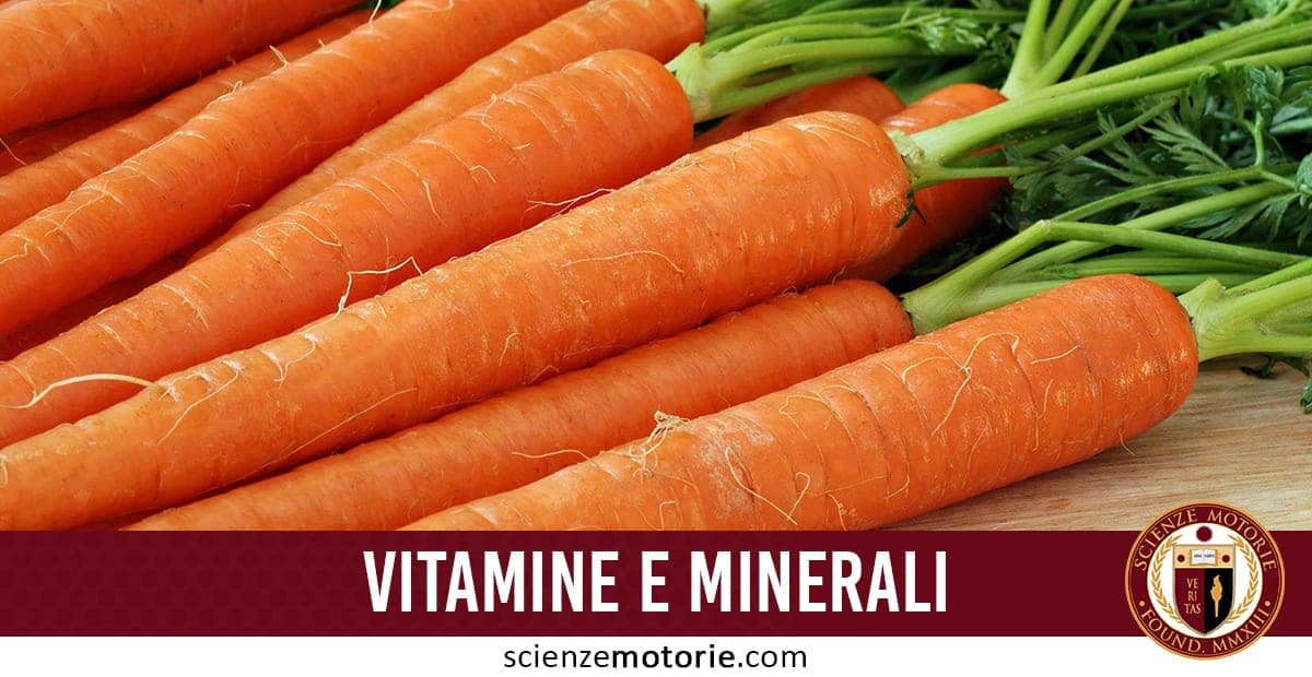 Vitamine e Minerali: una guida definitiva