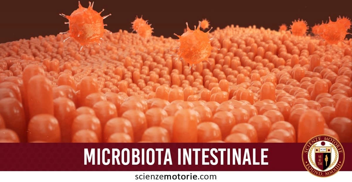 Un'illustrazione del microbiota intestinale, che mostra villi intestinali arancioni e microrganismi, come batteri o virus, fluttuanti sopra la superficie. In basso a destra è visibile il logo di Scienze Motorie