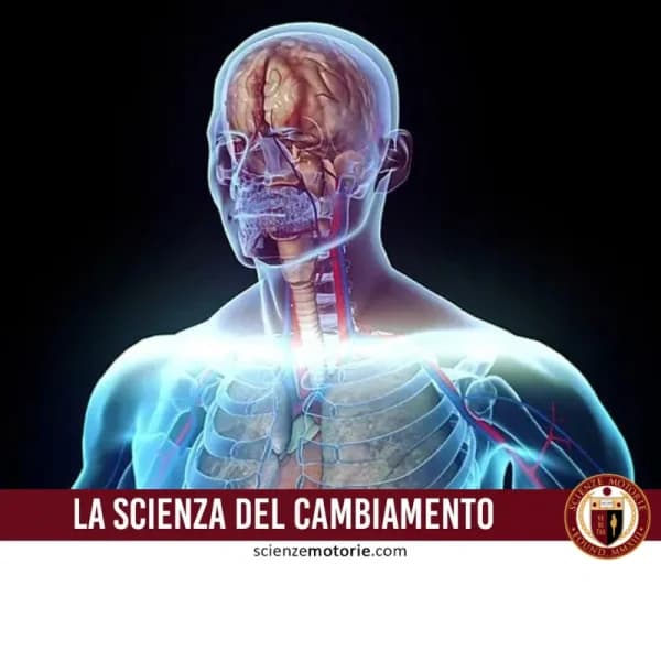 Illustrazione digitale traslucida del corpo umano, con dettagli evidenziati in blu chiaro e rosso. La rappresentazione mostra il cervello in primo piano e il sistema scheletrico traslucido. Il testo in basso recita "LA SCIENZA DEL CAMBIAMENTO", con il logo di ScienzeMotorie.com in basso a destra.