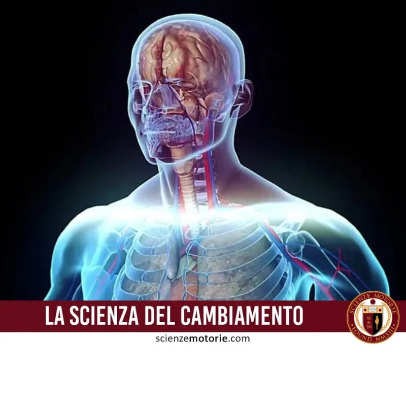 Illustrazione digitale traslucida del corpo umano, con dettagli evidenziati in blu chiaro e rosso. La rappresentazione mostra il cervello in primo piano e il sistema scheletrico traslucido. Il testo in basso recita "LA SCIENZA DEL CAMBIAMENTO", con il logo di ScienzeMotorie.com in basso a destra.