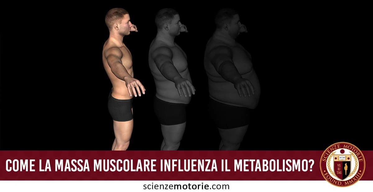 Tre figure umane in fila che mostrano diversi gradi di massa corporea, da muscoloso a sovrappeso, con la scritta "Come la massa muscolare influisce sul metabolismo?" e il logo di Scienze Motorie.