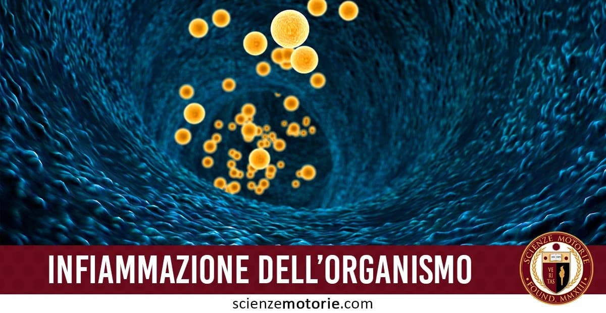 Rappresentazione grafica di un processo infiammatorio nell'organismo con sfere gialle all'interno di un canale blu, che simboleggia una struttura interna del corpo umano. in basso la scritta "Infiammazione dell’organismo" e il logo di Scienze Motorie