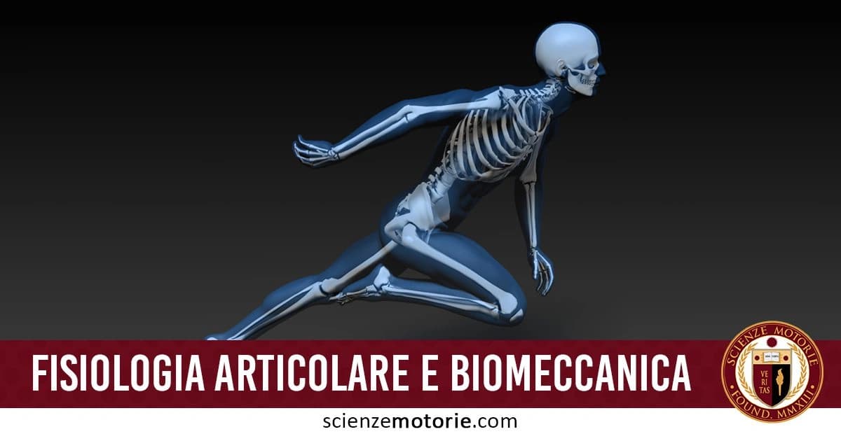Illustrazione di uno scheletro umano in posizione dinamica simile a quella di un corridore, con barra rossa in basso che indica "Fisiologia Articolare e Biomeccanica" e il logo di Scienze Motorie