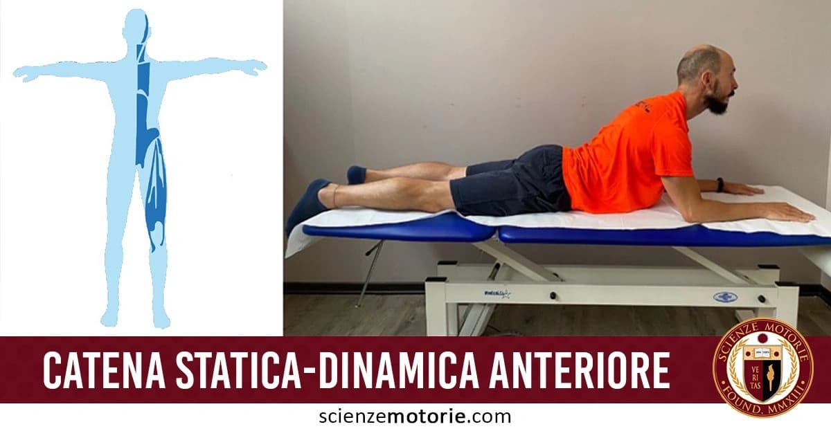 Persona sdraiata su un lettino medico in posizione prona, con la parte superiore del corpo sollevata e sostenuta dalle braccia. L'individuo indossa una maglietta arancione e pantaloncini scuri. Accanto, un'illustrazione stilizzata in blu di una figura umana con braccia tese lateralmente. il tutto accompagnato dalla scritta "Catena statica-dinamica anteriore" e il logo di ScienzeMotorie.com