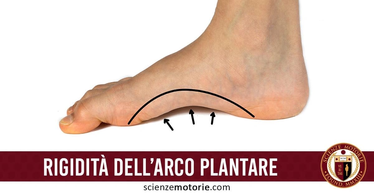 Piede umano visto di lato, con linee nere curve e frecce che evidenziano l'arco plantare. Lo sfondo è bianco, mettendo in risalto il piede. l'immagine è accompagnata dalla scritta "Rigidità dell’arco plantare" e dal logo di ScienzeMotorie.com