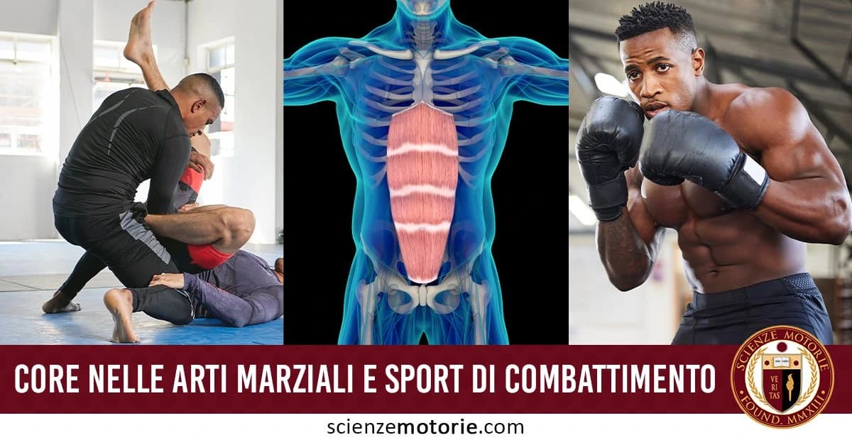 Immagine divisa in tre parti: a sinistra due persone che praticano arti marziali su un tappeto, al centro un'illustrazione anatomica dei muscoli del core, a destra una persona in posizione di boxe con guantoni. In basso, il testo 'Core nelle arti marziali e sport di combattimento' e il logo di scienzemotorie.com