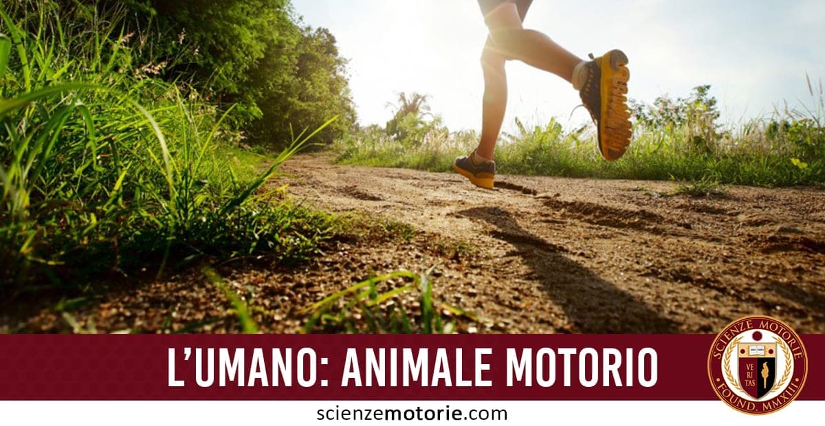 Persona che corre su un sentiero immerso nella natura con luce solare filtrata.