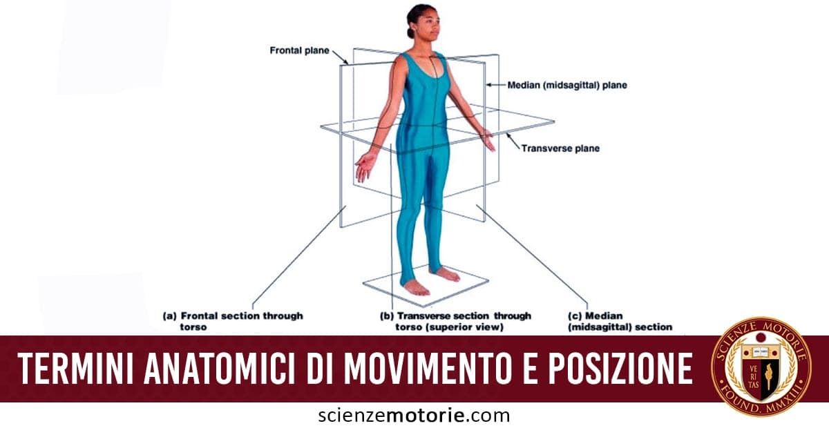 Figura umana in posizione eretta con piani anatomici frontale, trasverso e mediano indicati, utile per descrivere movimenti e posizioni del corpo.