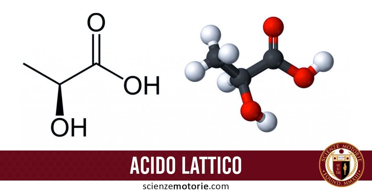 Struttura chimica dell'acido lattico: formula bidimensionale a sinistra e modello tridimensionale a destra, con scritta "ACIDO LATTICO" e logo scienzemotorie.com in basso