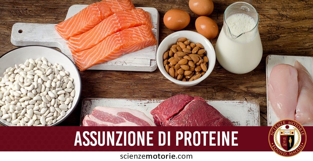 Alimenti ricchi di proteine tra cui salmone, petti di pollo, uova, latte, mandorle, fagioli bianchi e carne rossa disposti su un tavolo di legno, con la scritta "Assunzione di Proteine" e il logo di Scienze Motorie.