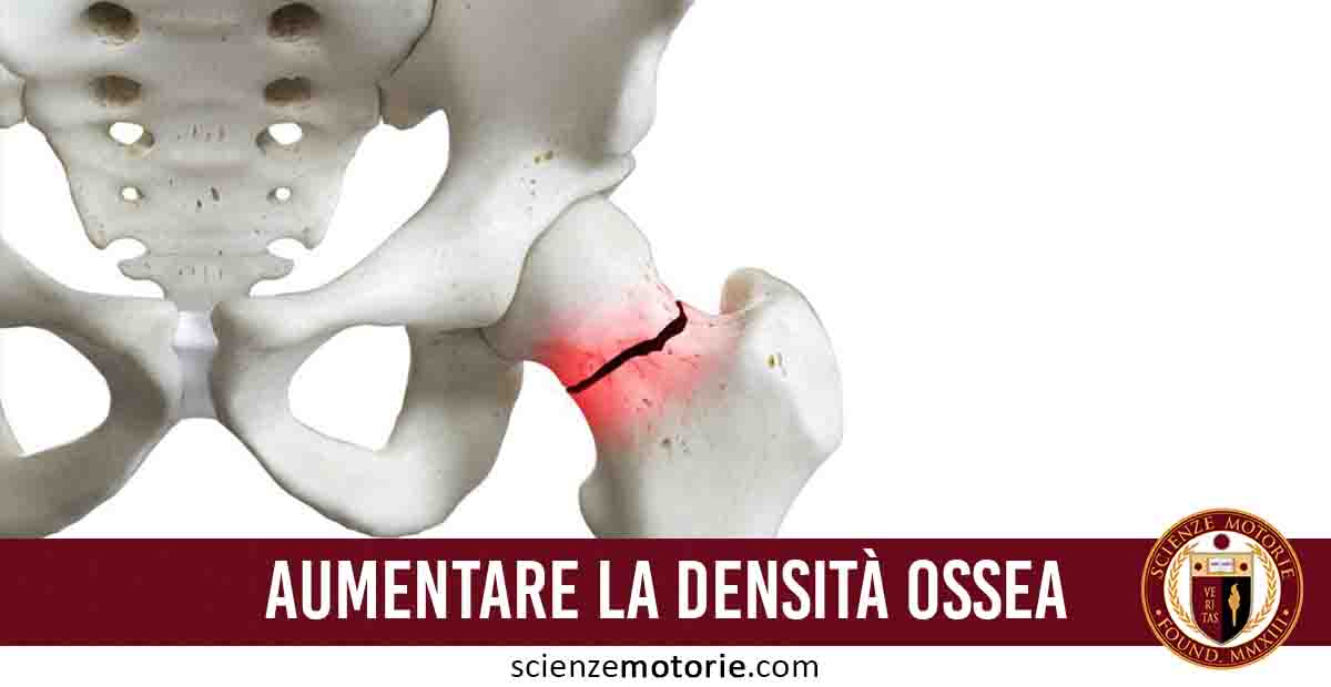 Illustrazione anatomica della pelvi umana con frattura evidenziata in rosso e scritta “AUMENTARE LA DENSITÀ OSSEA”, con logo scienzemotorie.com.