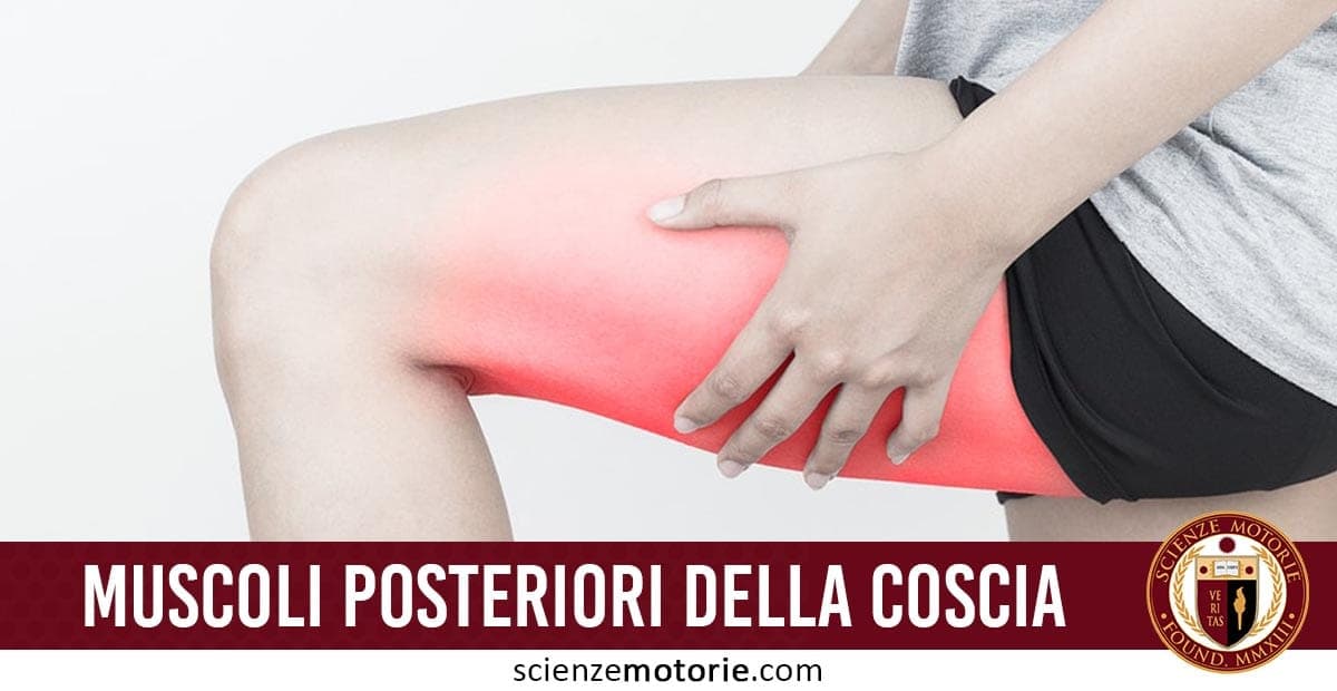 Persona che tiene la parte posteriore della coscia evidenziata in rosso; testo “MUSCOLI POSTERIORI DELLA COSCIA” con logo di scienzemotorie.com accanto.