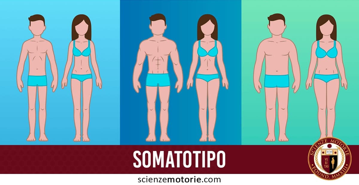 Illustrazioni stilizzate di uomo e donna che mostrano i tre somatotipi: ectomorfo, mesomorfo ed endomorfo, con riquadri azzurro, blu e verde