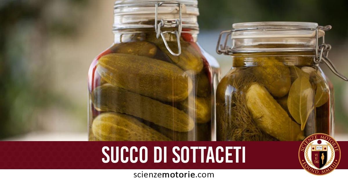Due barattoli di vetro contenenti cetrioli sottaceto, foglie aromatiche e spezie, con la scritta “SUCCO DI SOTTACETI” e il logo di ScienzeMotorie.com in basso.