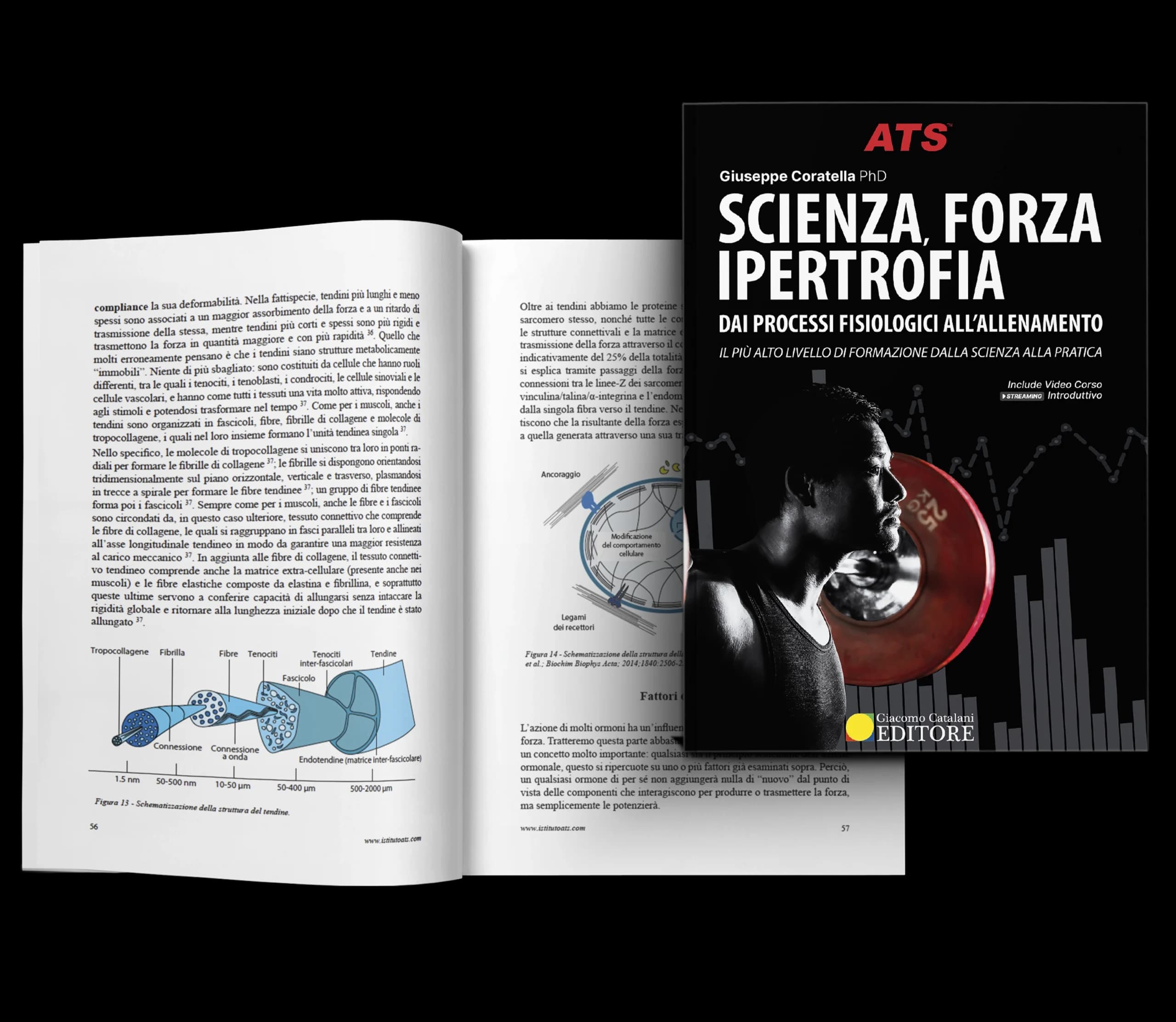 Scienza Forza Ipertrofia Libro Mockup