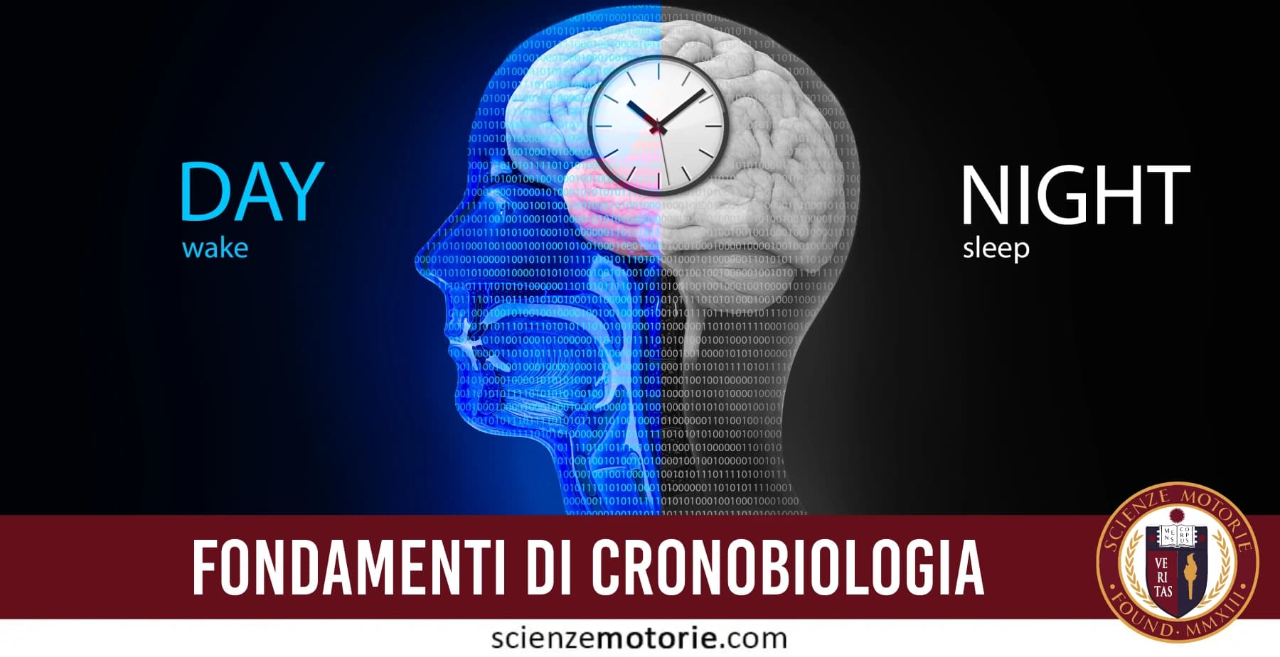 Copertina didattica sulla cronobiologia con profilo umano, orologio biologico centrale e contrasto simbolico tra veglia diurna e sonno notturno.