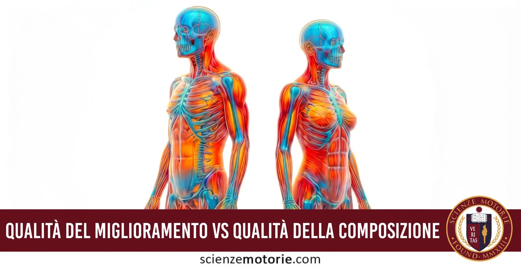 Due figure anatomiche stilizzate, uomo e donna, che mostrano scheletro e muscoli con titolo “Miglioramento vs Composizione Corporea” e logo Scienze Motorie.