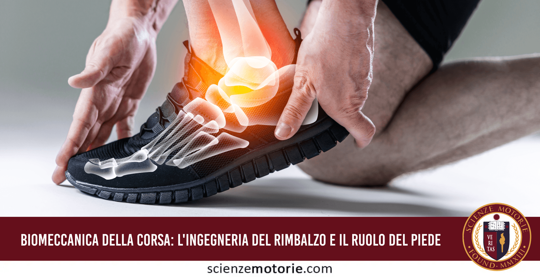 Biomeccanica della Corsa: L’Ingegneria del Rimbalzo e il Ruolo Attivo del Piede