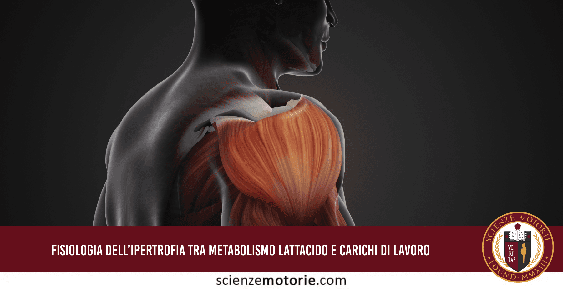 Fisiologia dell’Ipertrofia tra Metabolismo Lattacido e Carichi di Lavoro