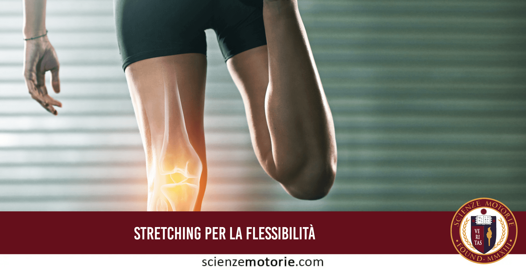 Tabella comparativa delle metodologie di stretching: vantaggi, svantaggi e consigli d'uso per stretching statico, dinamico, PNF e SMR.