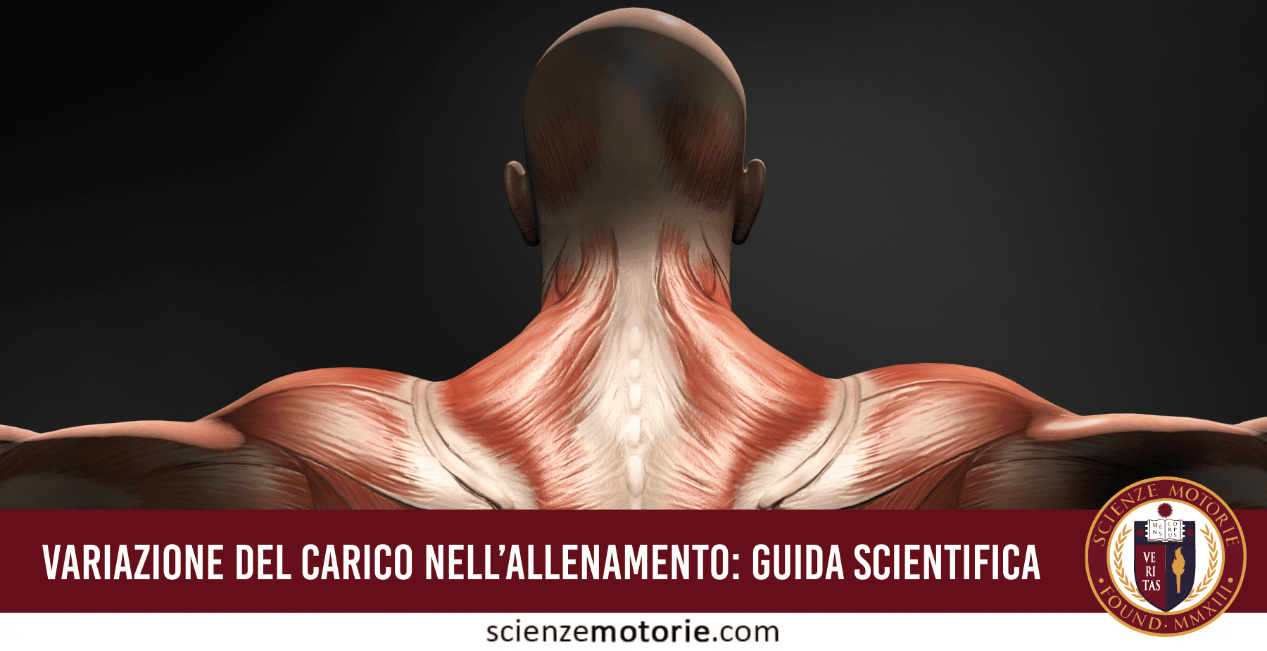 Guida scientifica della Variazione del carico nell’allenamento
